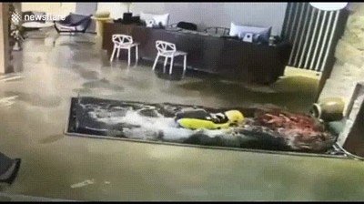 repartidor,confundir,piscina,alfombra