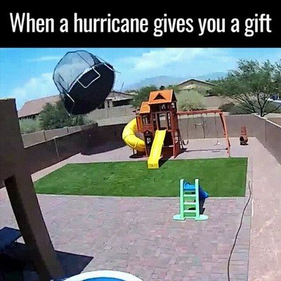 huracan,simpatico,regalo,jardin,casa