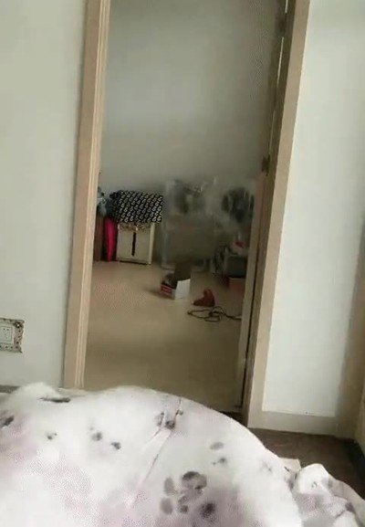 pobre,ni&ntilde;a,trolleo,puerta