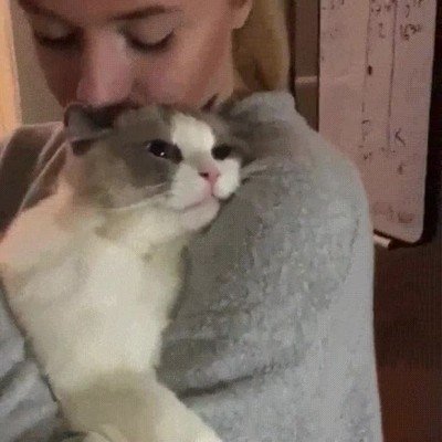 abrazar,pareja,pensar,gato