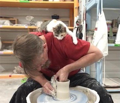 gato,interesado,alfareria