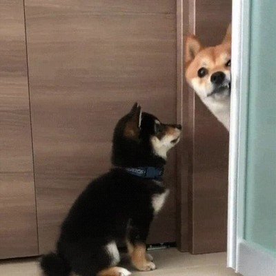 consulta,medico,puerta,cara