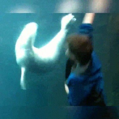 poco tiempo,mejores,amigos,ni&ntilde;o,conexi&oacute;n