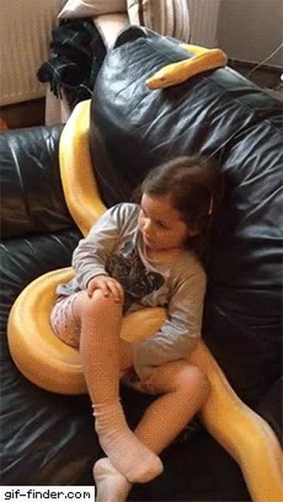 serie,aburrida,serpiente,bostezar