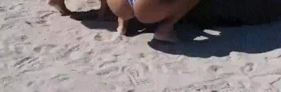 celebrar,navidad,levantar,rueda,playa