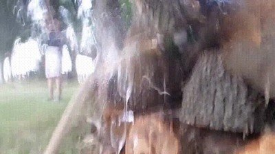 ligar,legolas,salvar,tierra media