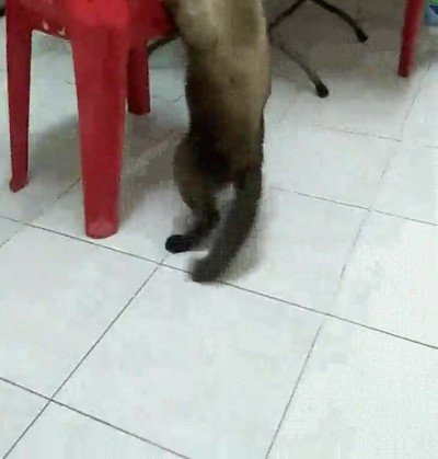 superar,obstaculos,vida