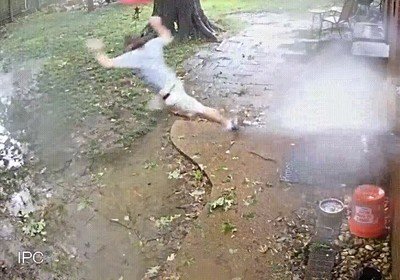 Enlace a Cuando la naturaleza se cansa de tus tonterías e intenta matarte