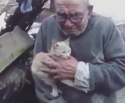 anciano,llorar,salvar,vida,gato
