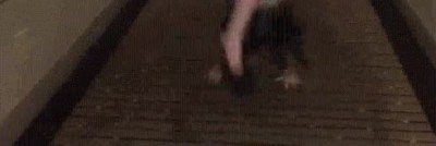 Enlace a Yo intentando cumplir los propósitos que hice a principios de año