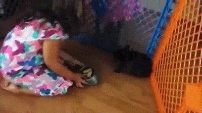 disgusto,comida,restaurante