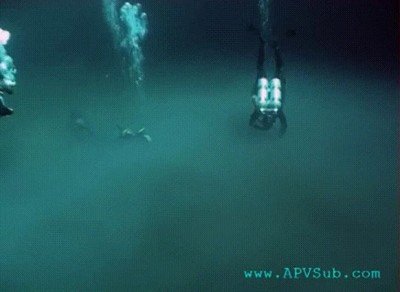 amigos,submarinistas,examen,estudiar