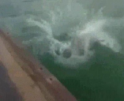 Enlace a Cuando te tiras al agua y sin querer desafías todas las leyes de la física