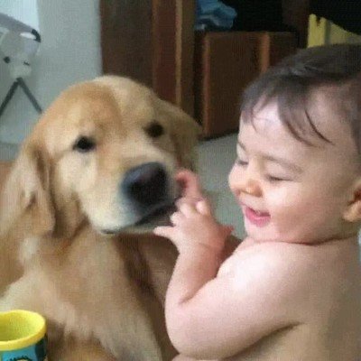 mejor,amigo,perro,hombre,ni&ntilde;o