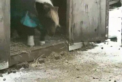 enorme,satisfacci&oacute;n,superar,miedos