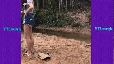 gente,hacer,cosas,est&uacute;pidas