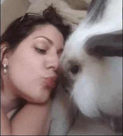 pareja,beso,mirar,indiscreci&oacute;n