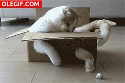 gato,Nintendo Labo,cart&oacute;n