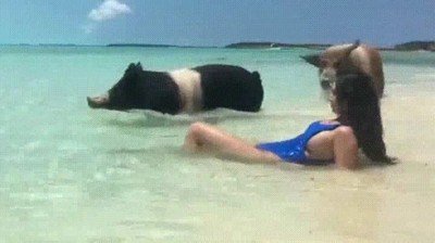 playa,tranquila,mañana,chicos