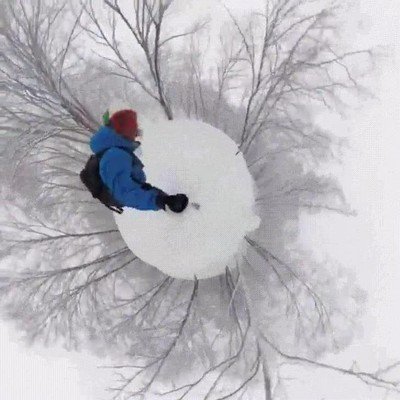 esquiar,planeta,nieve,arboles