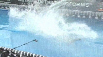 campeonat,salto,perros,camara lenta