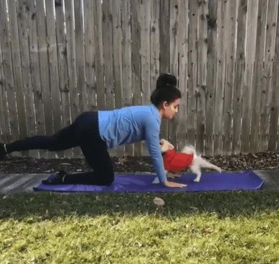 perro,aprender,postura,yoga
