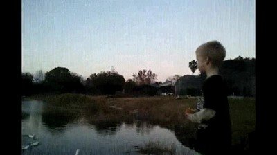 comer,patos,comida,ni&ntilde;o,fail