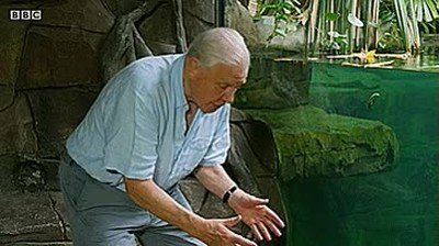 imaginar,explicar,instrucciones