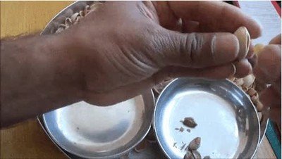 truco,abrir,cascara,pistacho