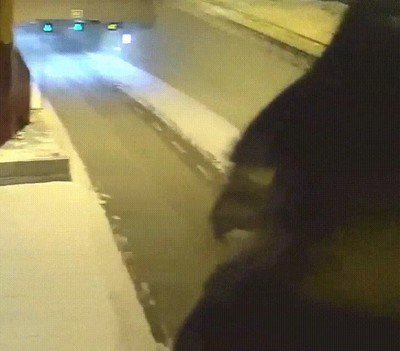 aut&eacute;ntica,guardia de la noche