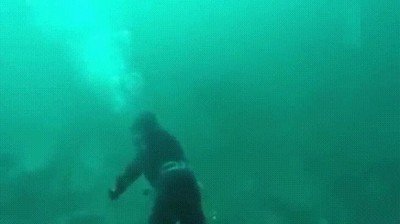 debajo,agua,tranquilo,susto