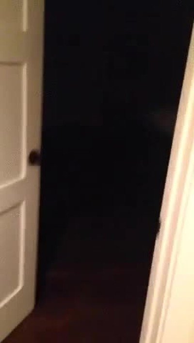 pillada,perro,manos en la masa,cama,pasi&oacute;n