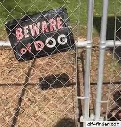 carteles,aviso,fieles,realidad