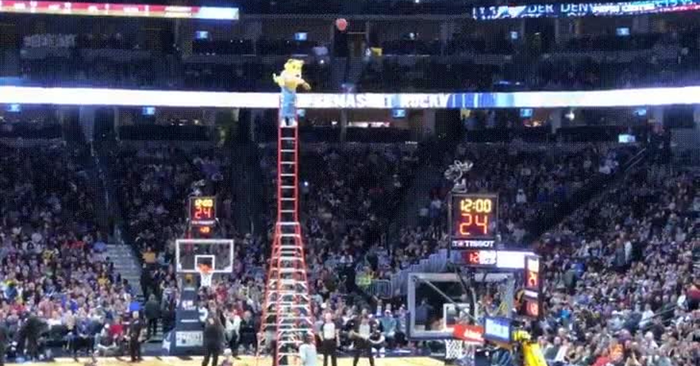 ¡Vaya GIF! / La mascota de los Denver Nuggets anotando un ...