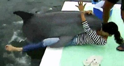 delfin,demasiada,confianza,chica