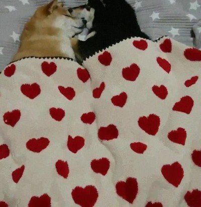 amor,verdadero,faltar poco