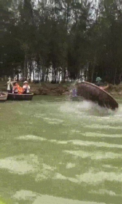 acabar,carrera,palos,vida