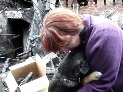 perro,abrazar,humana,perder,casa,incendio