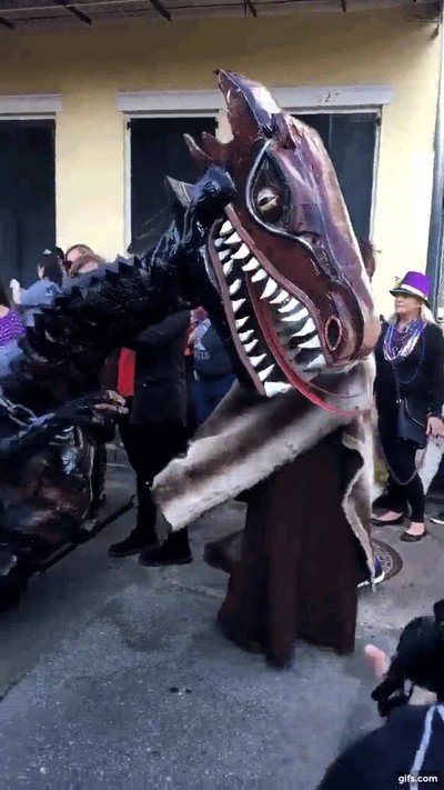 perro,cosplay,daenerys,madre de dragones