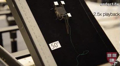 harvard,crear,robot,inspirado,cucaracha