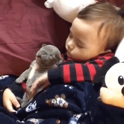adorable,ni&ntilde;o,perro,siesta,peluche