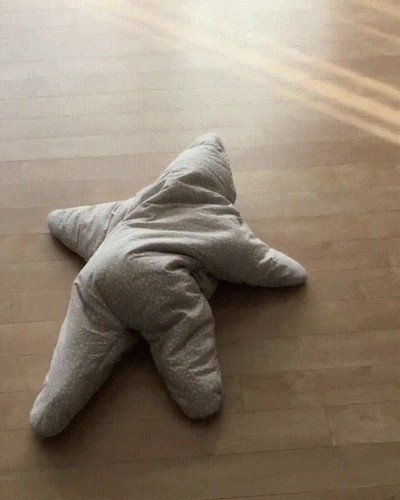 Enlace a Nunca has visto mejor imitación de una estrella de mar