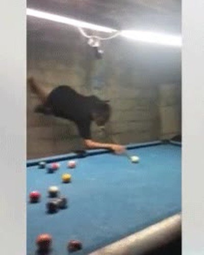 Enlace a Para que luego digan que el billar no es un deporte