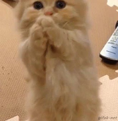 cara,poner,dinero,madre,salir,viernes