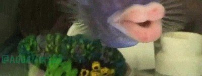 pagar,dinero,pez,labios,sexys