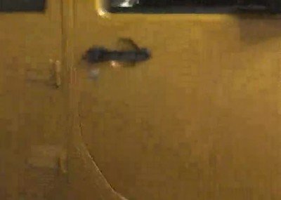 terminar,donut,perro,puerta