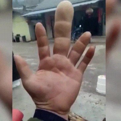 gente,dedo,gordo,ofensiva