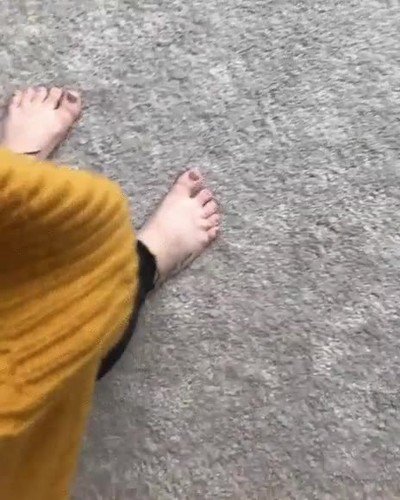 prenda,ropa,pasear,mejor amigo