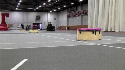 bolt,robots,correr,saltos