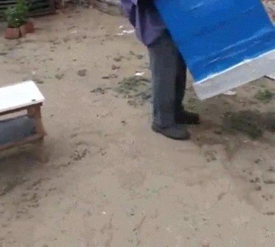 disfraz,necesidades,tranquilo